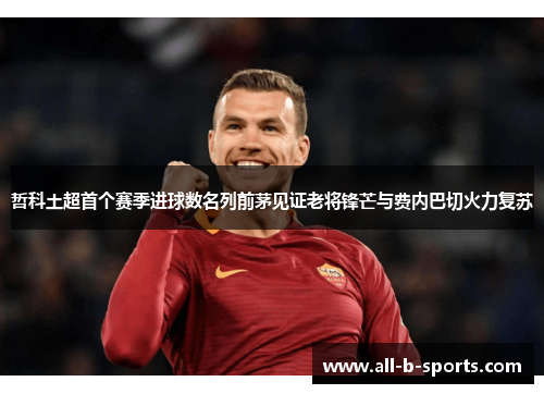 哲科土超首个赛季进球数名列前茅见证老将锋芒与费内巴切火力复苏